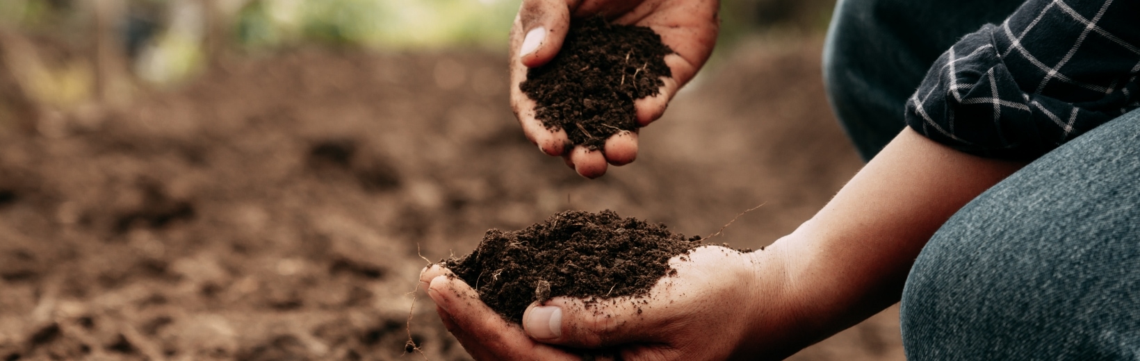 Symbolfoto für Nachhaltigkeit: Zwei Hände halten Mutterboden