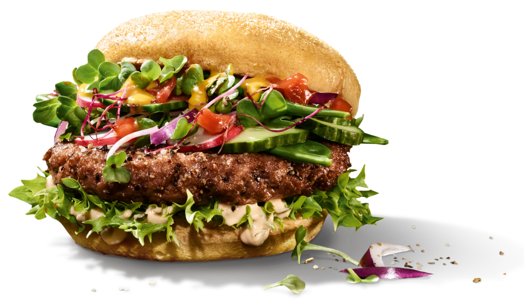 Hamburger–Regionalburger