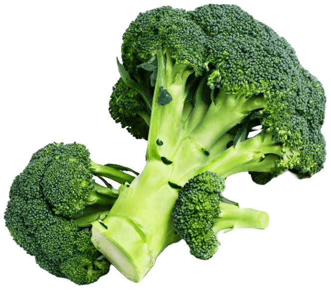 Zwei schöne Stücke Broccoli