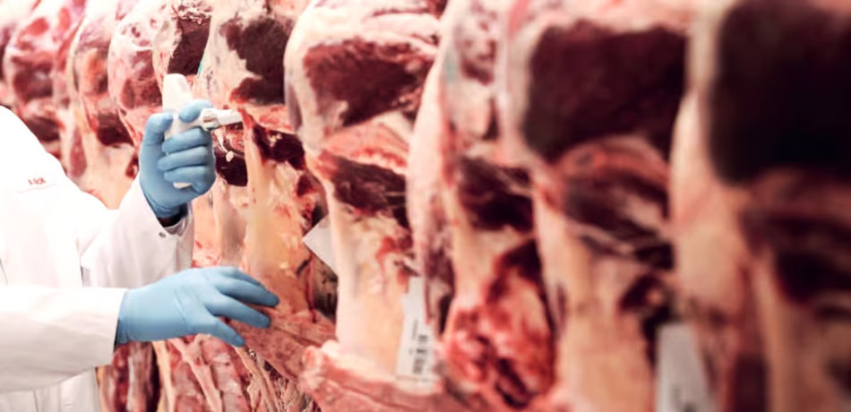 Steaks Beef halves Steaks Beef halves